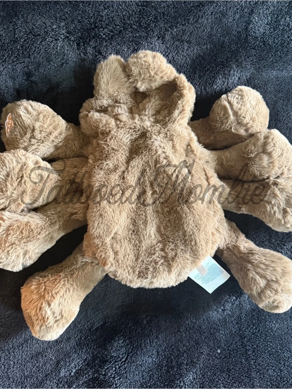 Build - A - Bear Jumping Spider Plush